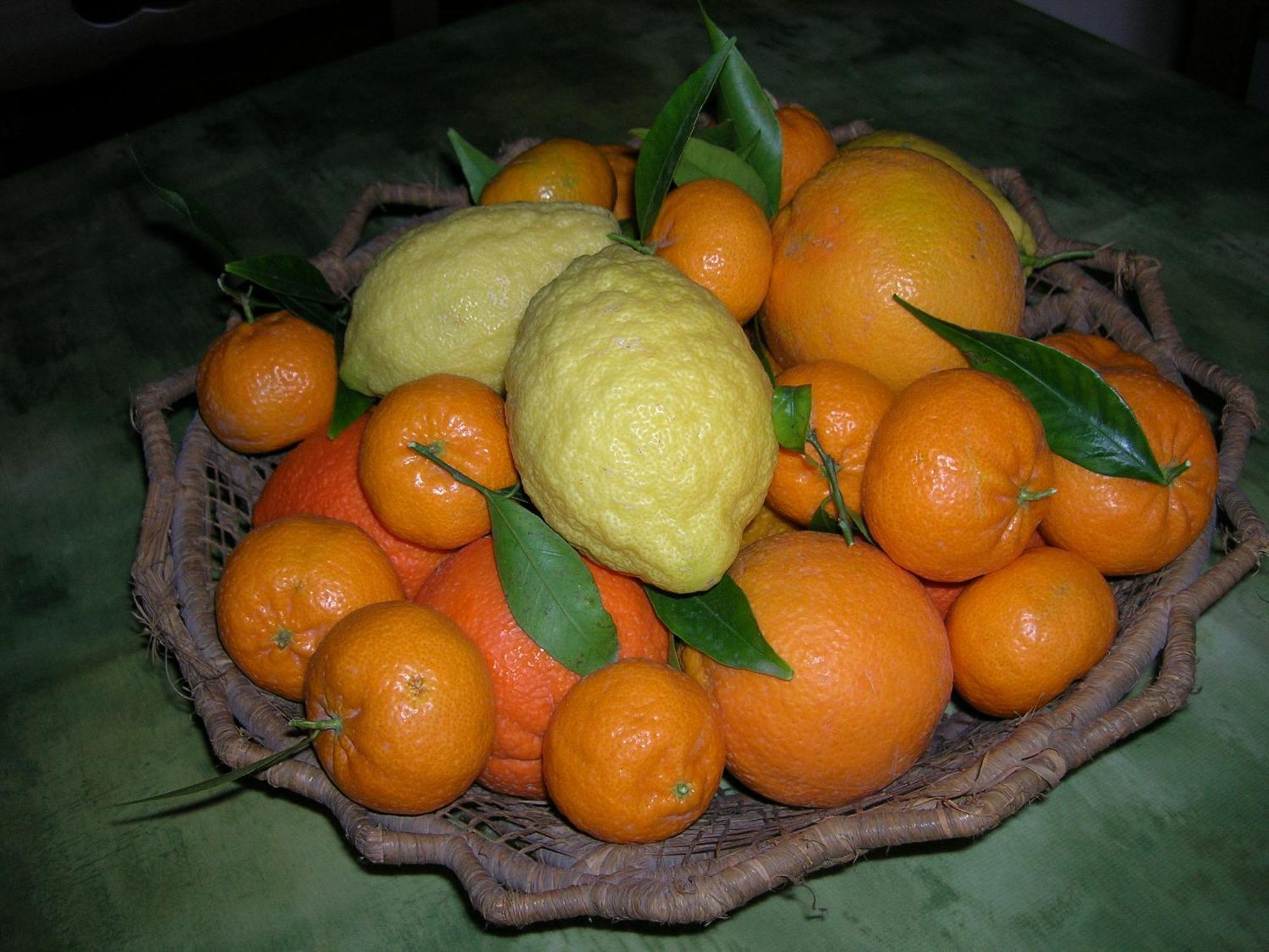 Agriturismo Baglio Donna Santa Dattilo Buitenkant foto