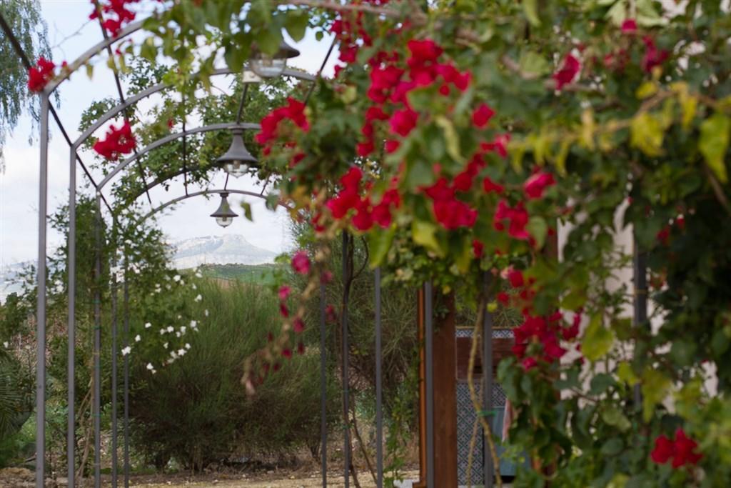 Agriturismo Baglio Donna Santa Dattilo Buitenkant foto